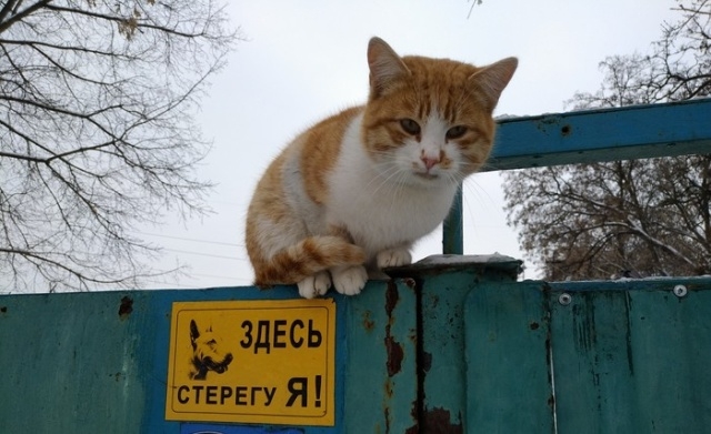 Подборка прикольных картинок вторника 5 февраля 