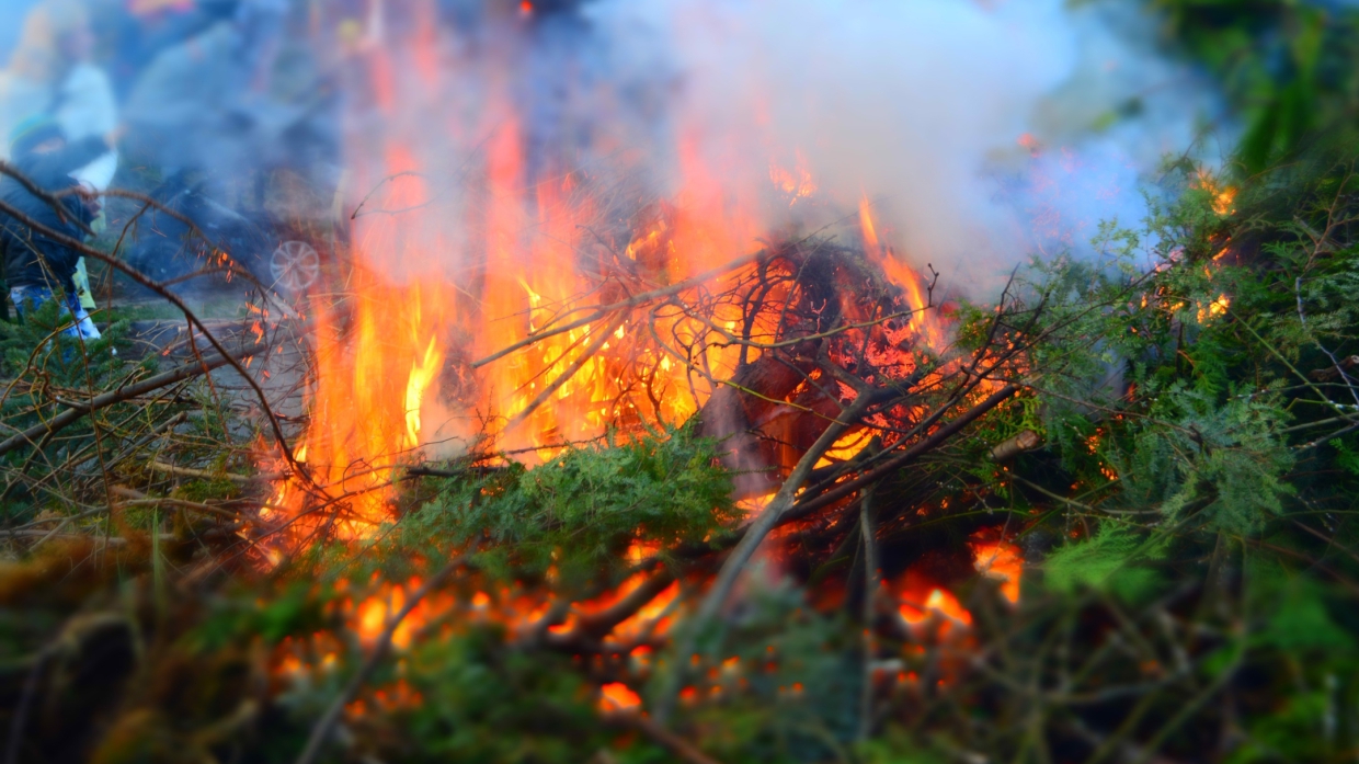 Эксперты Чураков и Черных обсудили лесные пожары в Якутии