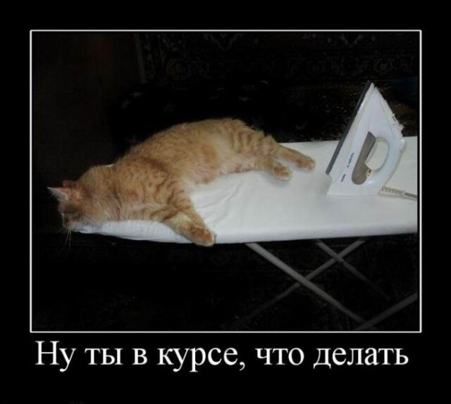 Демотиваторов прикольная порция Демотиваторов прикольная порция