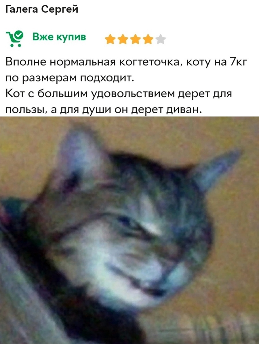 Юмор из интернета 685 Юмор из интернета 685 позитив,смех,улыбки,юмор