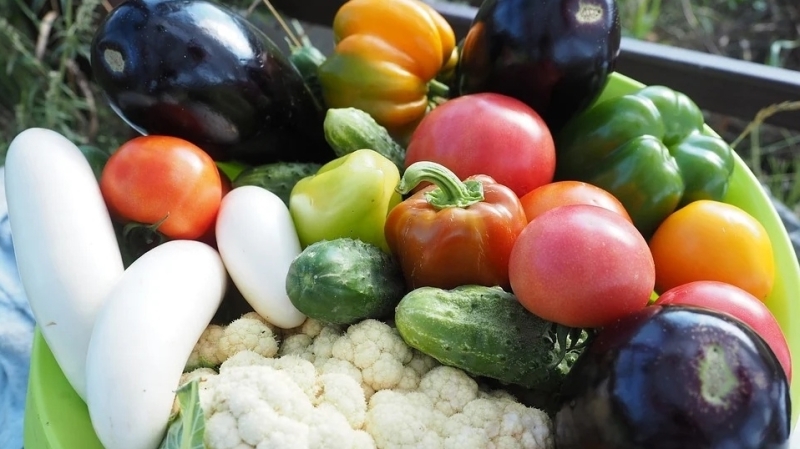 Вегетарианство — зло: диетолог Мишанина о похудении и правильном питании