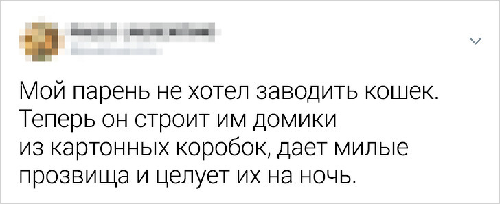 16 мужчин, готовых на все ради питомцев, которых они «никогда не хотели» животные,жизнь,юмор и курьезы