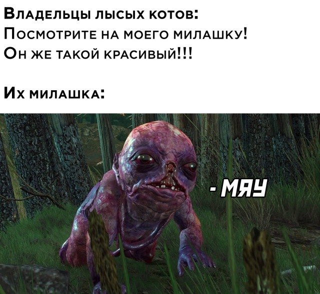 Подборка прикольных картинок  приколы,смешные картинки,юмор