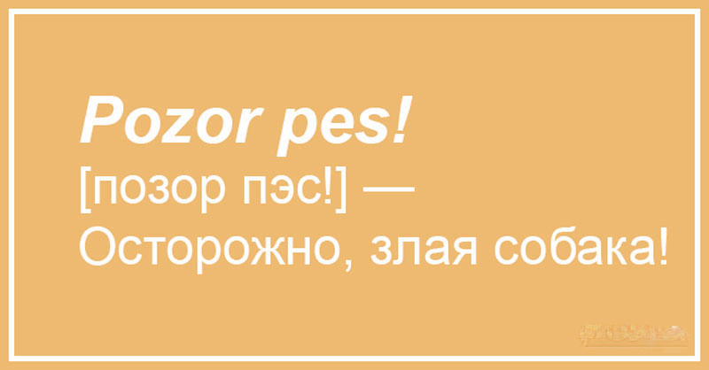 Чешский, что ты делаешь? Прекрати. 20 случаев, когда сдержать смех просто нереально 