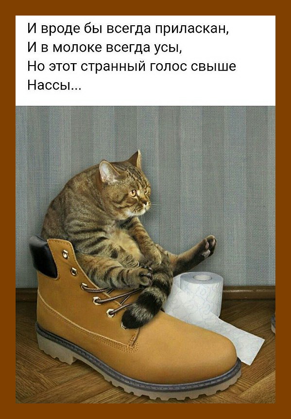 «Веселые истории о нас» «Веселые истории о нас»