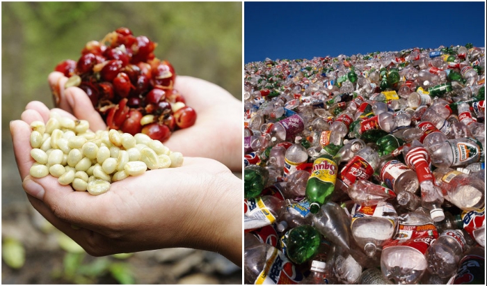 Шелуха от зерен кофе и пластик, заполонивший планету, стали основными элементами для создания уникального композитного материала WPC. Шелуха от зерен кофе и пластик, заполонивший планету, стали основными элементами для создания уникального композитного материала WPC.