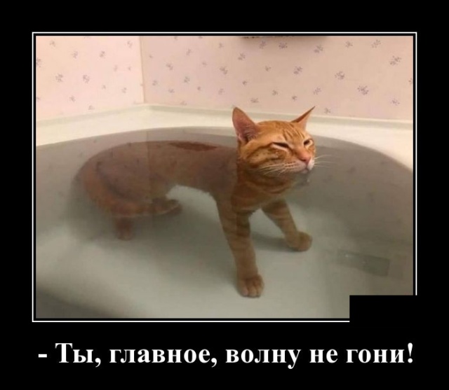 Какая разница между голой и обнаженной женщиной? Какая разница между голой и обнаженной женщиной? анекдоты,веселье,демотиваторы,приколы,смех,юмор