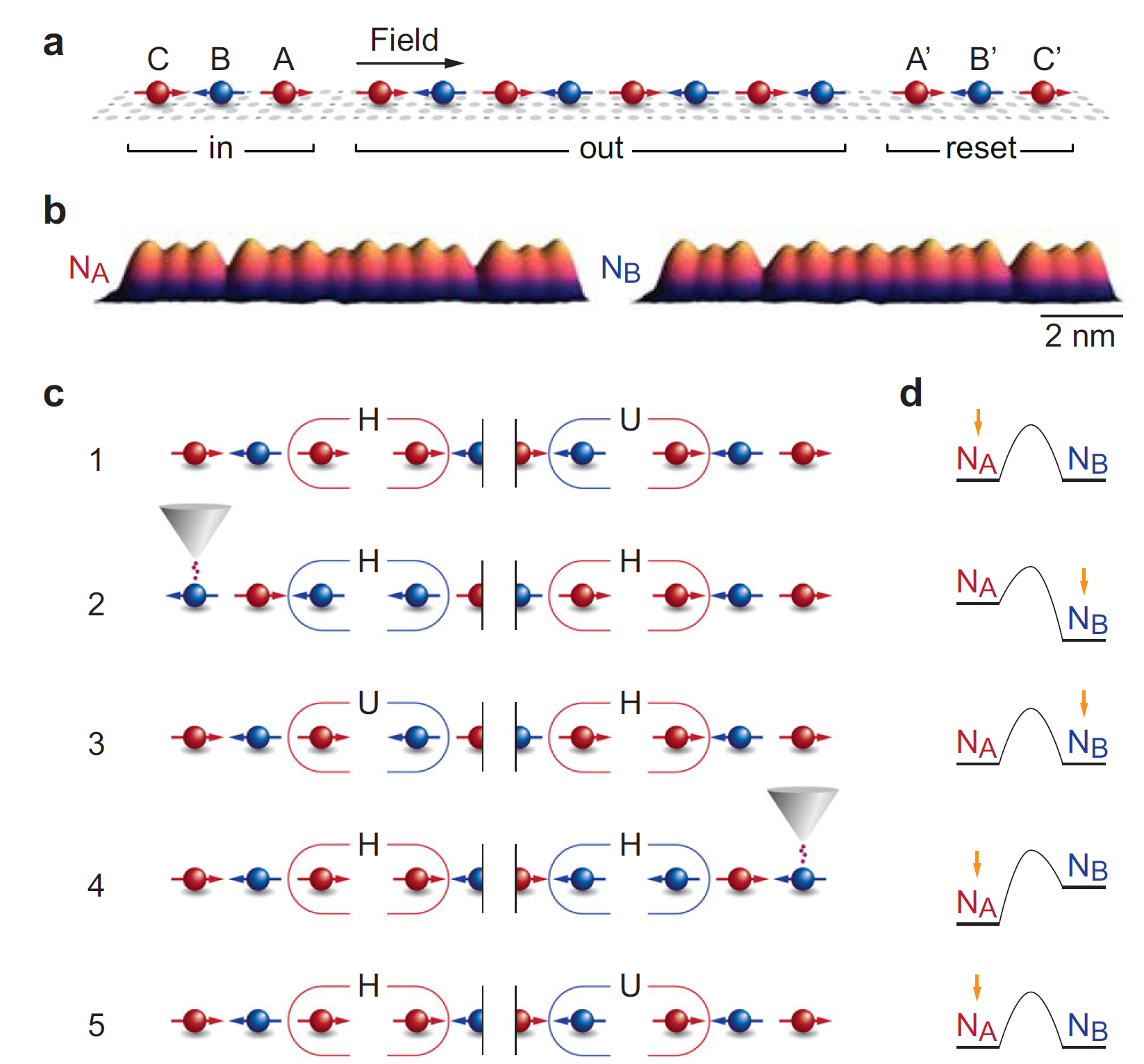 Spin wave