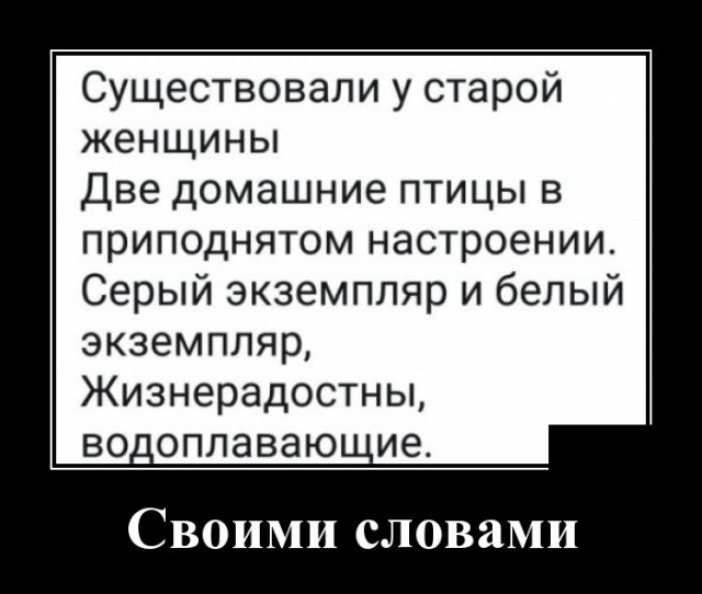 Демотиваторы