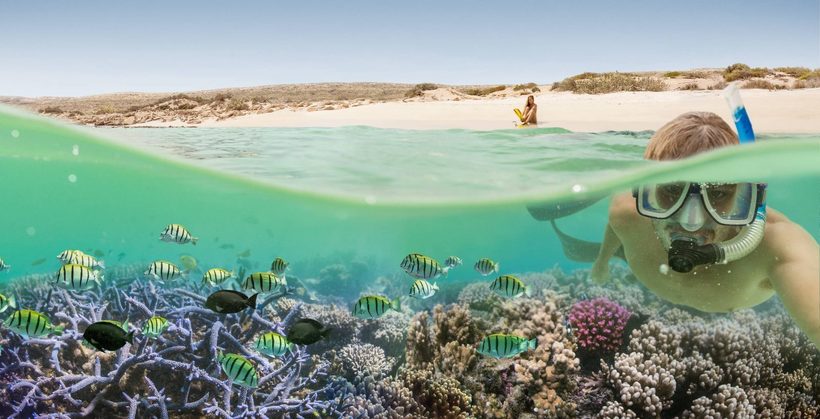 Риф Нингалу: невероятное место, где люди и акулы не боятся друг друга природа,Путешествия,фото