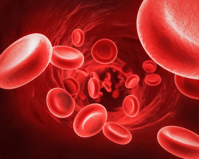 Почему группы крови конфликтуют друг с другом? А кто такие гематофаги? 8 фактов о крови крови, группы, существует, группа, переливания, людей, встречается, второй, населения, около, После, наиболее, между, свертывания, молекул, мышцы, а моча, гемофилией, процедуры, у пациента