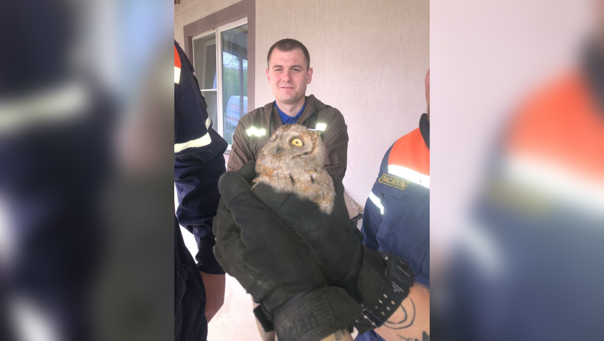 Застрял в вентиляции: спасатели Новороссийска освободили совёнка
