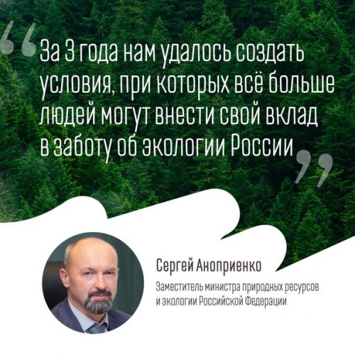 Более 70 млн новых деревьев появилось в России. 07