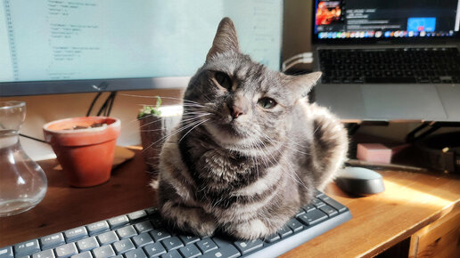 Все при деле