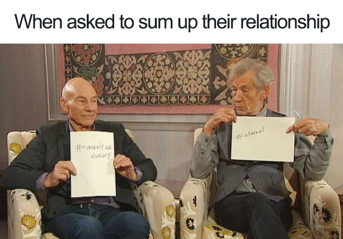 Patrick Stewart And Ian Mckellen