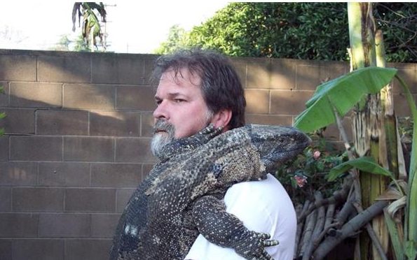 iguana-greeting-5-1-e1510070501768