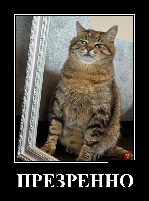 Демотиваторы для любителей черного юмора Демотиваторы для любителей черного юмора