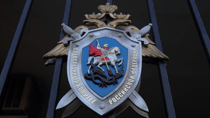 Прокрутил 185 млн рублей: Сын оскандалившегося экс-губернатора попался на афере с лифтами россия