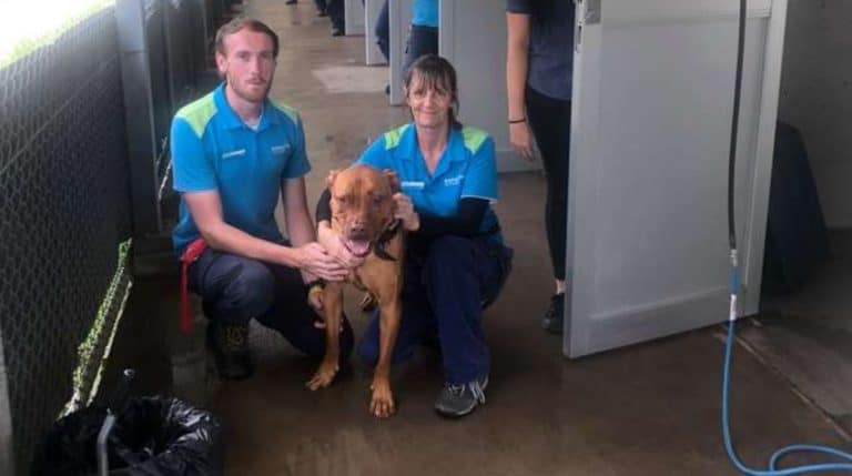 BeFunky-collage (23)