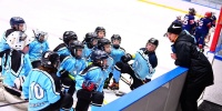 На всероссийский конкурс спорторганизации региона  представили проекты по развитию хоккея, футбола и других видов спорта