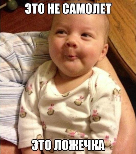 Прикольные фотографии и забавные картинки с надписями из сети Прикольные фотографии и забавные картинки с надписями из сети