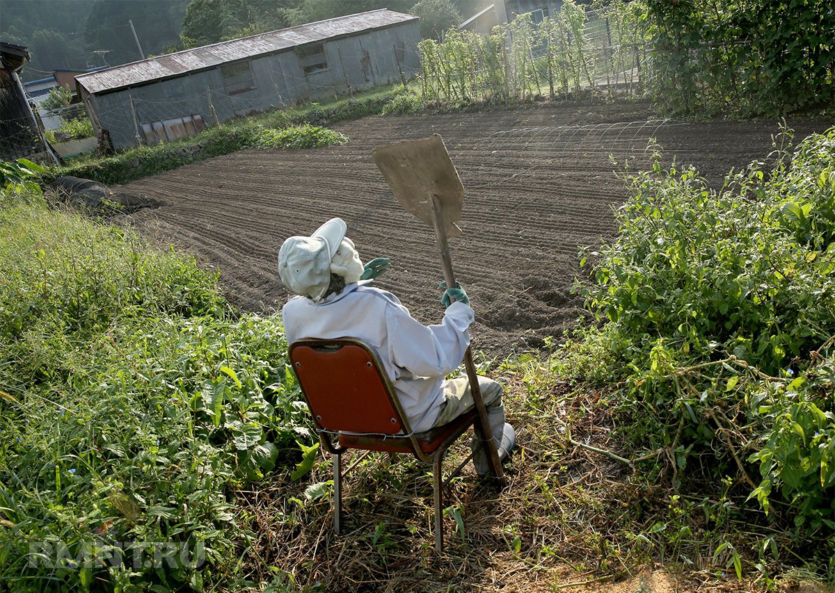 Танков для, прикольные картинки садово- огородные работы