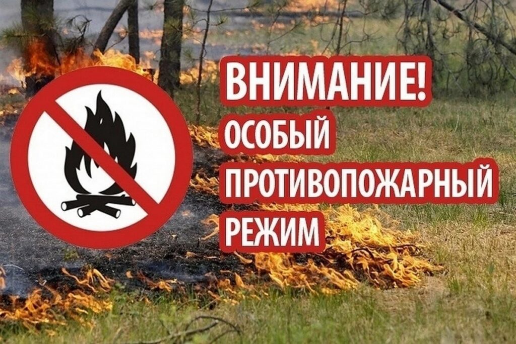 С 5 июля в Рязанской области ввели особый противопожарный режим