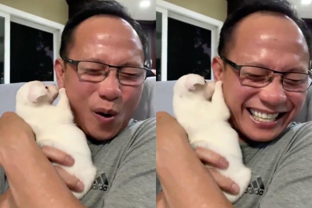 Эти мужчины были против собак в доме Эти мужчины были против собак в доме животные,жизнь,позитив,собаки