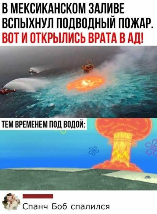 Забавные высказывания из социальных сетей 