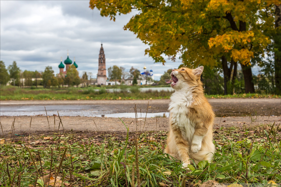 Замкадье. Настоящая Россия. Россия по настоящему. Russia настоящая. Россия как выглядит по настоящему.