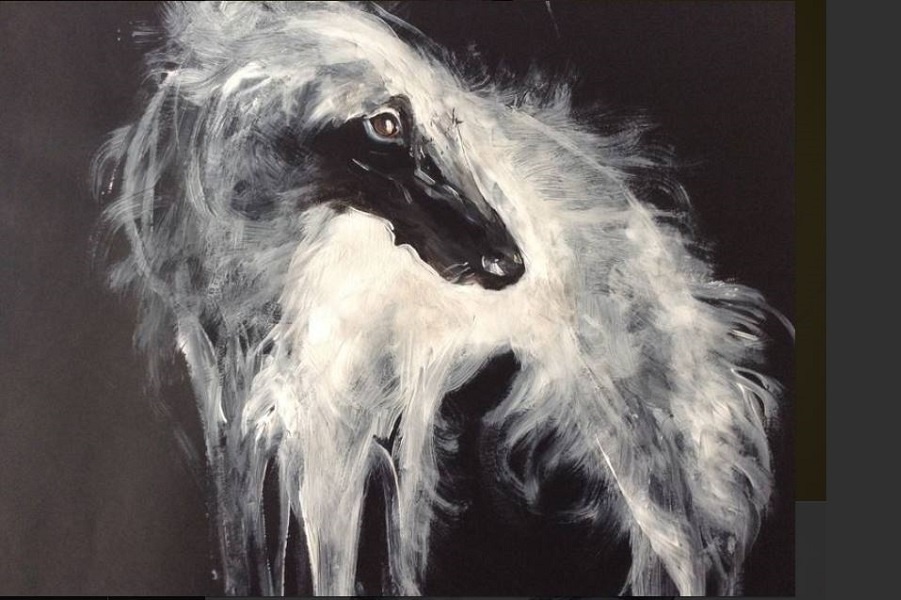 Иллюстрации Ольги Галь 