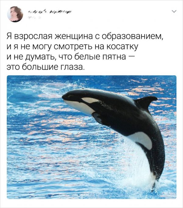 Подборка забавных твитов о науке Подборка забавных твитов о науке позитив,смешные картинки,юмор