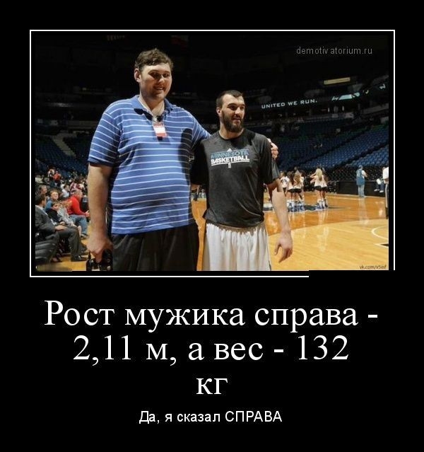 Юмору быть! Свежая ночная подборка Юмору быть! Свежая ночная подборка