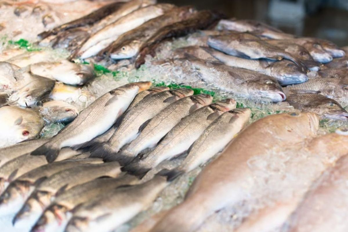 В Японии продавали лосось из РФ с маркировкой 