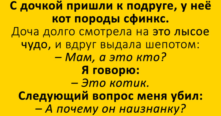 Подборка колких приколов с просторов Сети — отличный настрой на весь день Подборка колких приколов с просторов Сети — отличный настрой на весь день