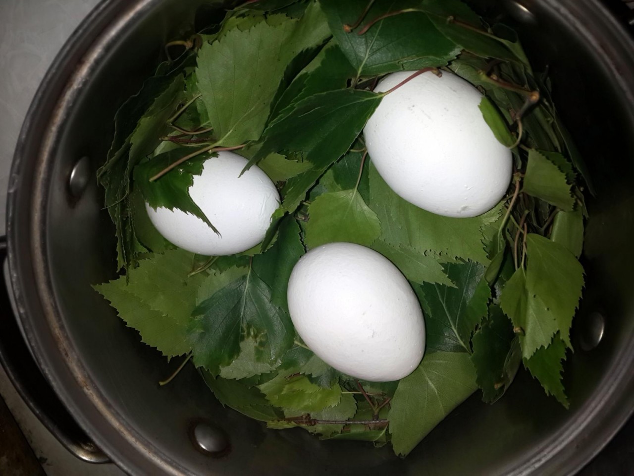 Яйца окрашенные березовыми листьями