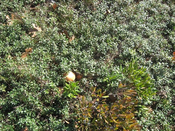 Деревенская Америка Деревенская Америка заграница,путешествие,страны,туризм