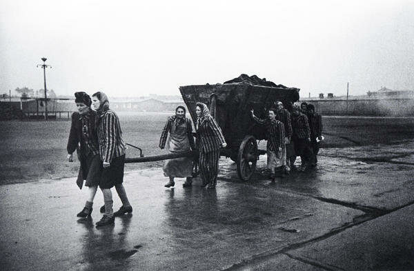 Какая жизнь была в оккупированной Гитлером Европе история