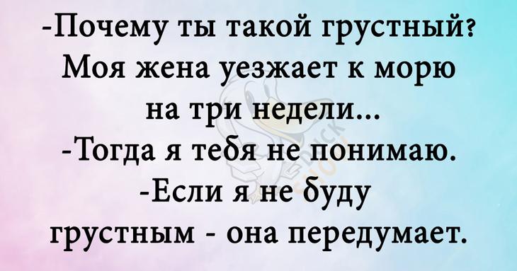 Прекрасное начало летнего дня – подборка веселых анекдотов 
