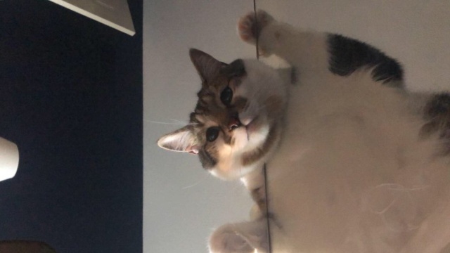 Подборка прикольных картинок Подборка прикольных картинок смешные картинки