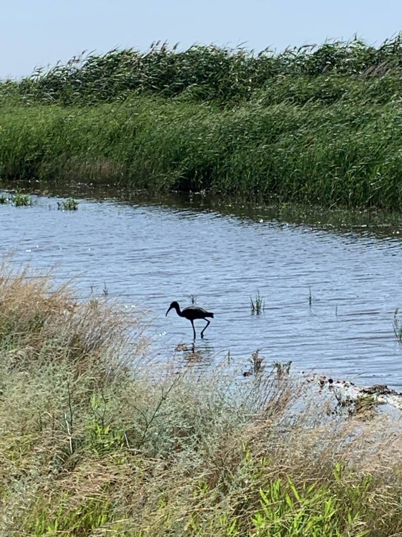 Россия на море Россия на море россия