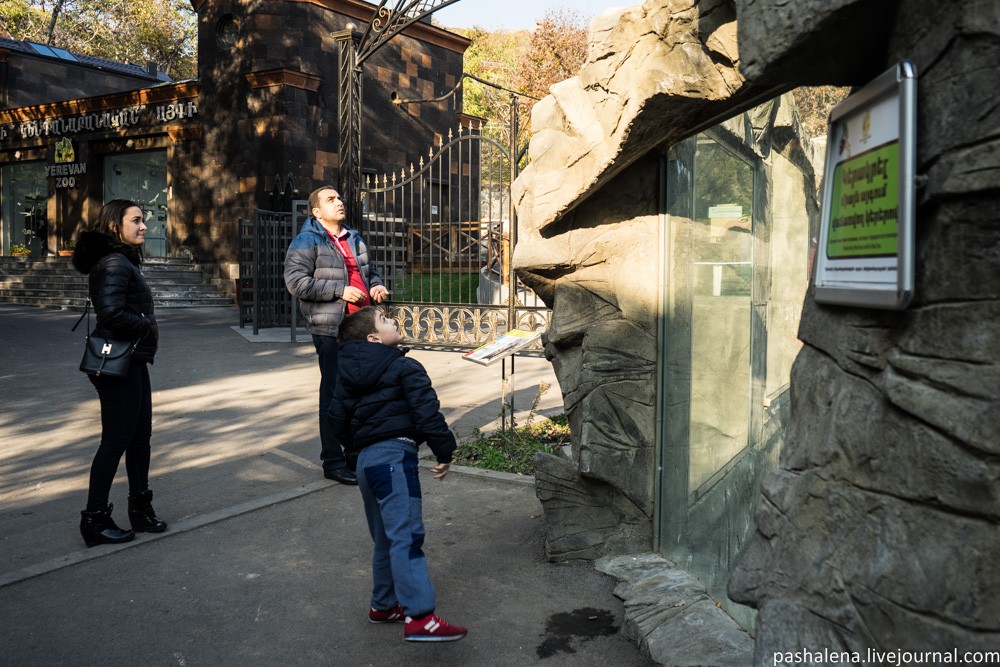 Отрада Армении: Ереванский зоопарк Армения,зоопарк,самостоятельные путешествия,экскурсионный тур