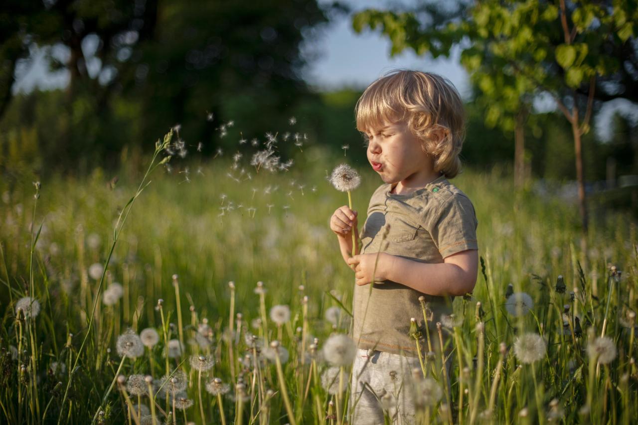 Как весной подготовить дачу к приезду детей: 13 вещей, которые нужно сделать уже сейчас можно, нужно, наличие, замок, детей, ребенок, Проверьте, участке, участок, Сделайте, Также, ребенку, туалет, растений, также, может, чтобы, уберите, только, опасные