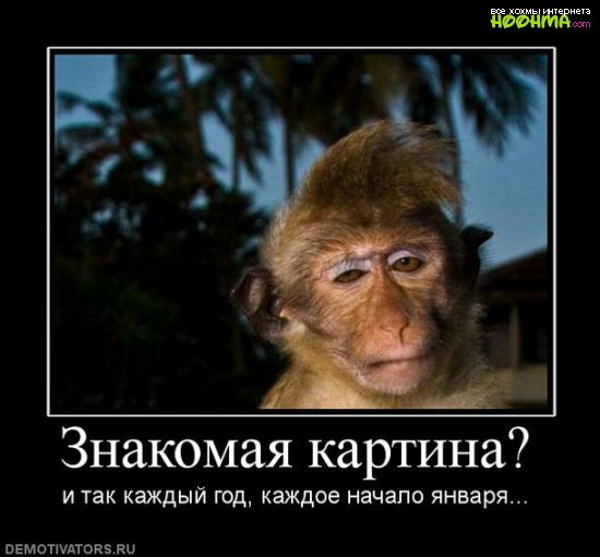 Веселые истории о нас. Предновогоднее настроение Веселые истории о нас. Предновогоднее настроение