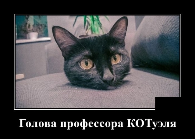 Демотиваторы за 20 декабря Демотиваторы за 20 декабря