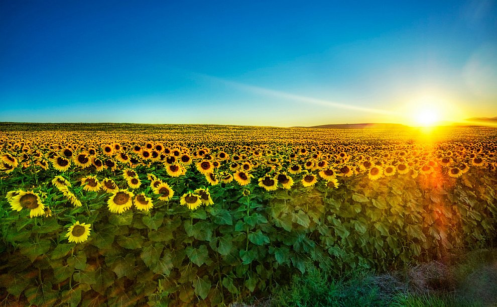 HDRI В мире необычное