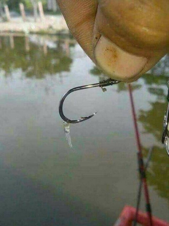 Самые смешные и забавные картинки. часть 540 ( 116 фото ) Самые смешные и забавные картинки. часть 540 ( 116 фото ) юмор