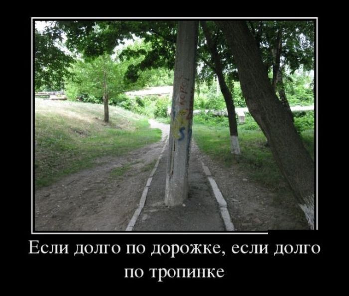 Утренние демотиваторы для хорошего настроения (11 фото)