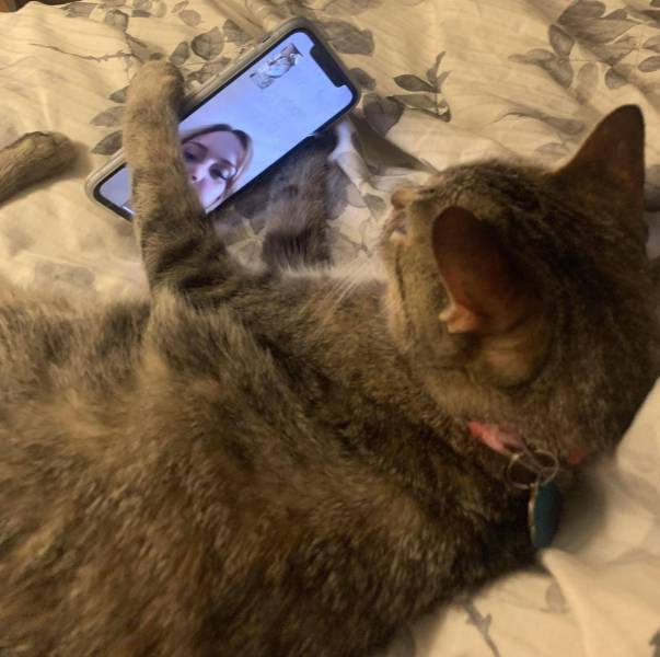 Подборка прикольных картинок  приколы,смешные картинки,юмор