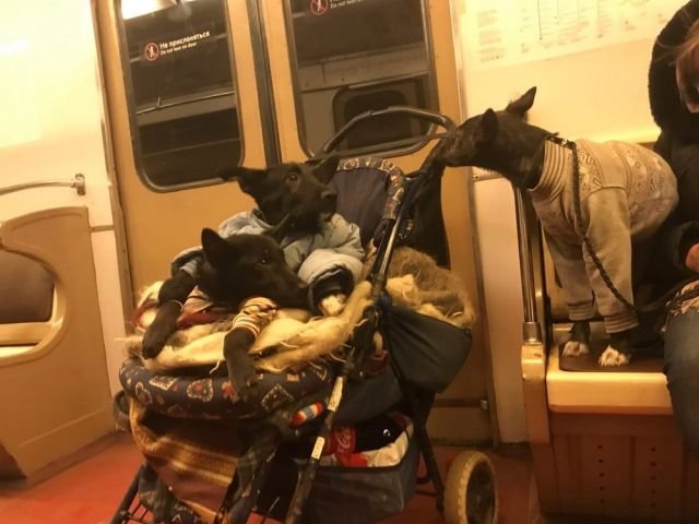 Модники и чудаки из метро 